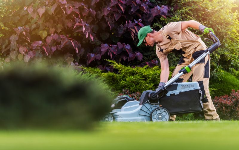 Lawn Mowing Pros