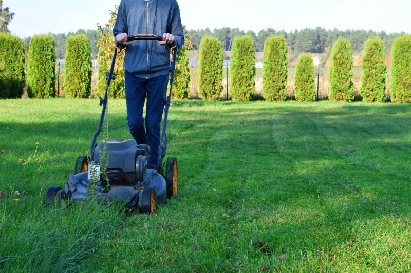 Lawn Mowing Pros