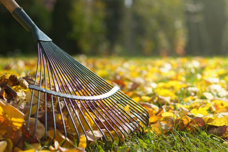 Leaf Raking Efficiency