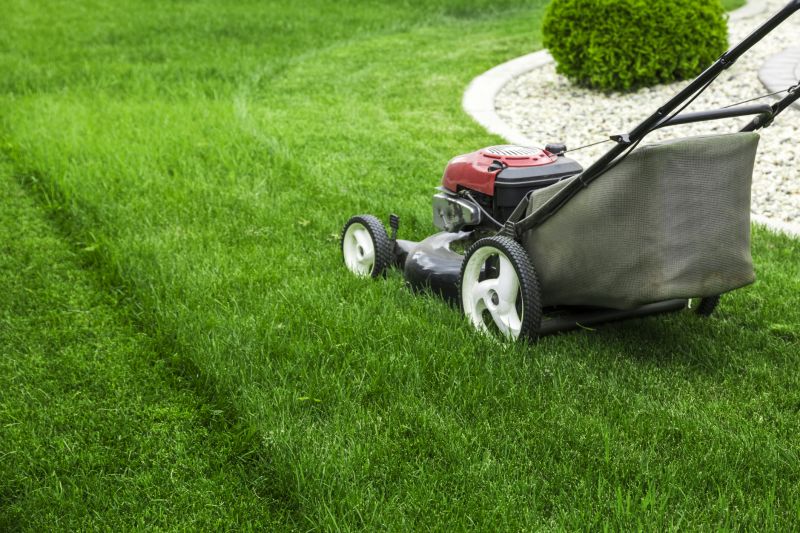 Healthy Lawn After Mowing