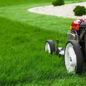 Traverse City Grass Cutting