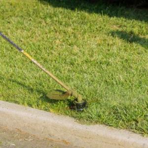 Traverse City Lawn Trimming